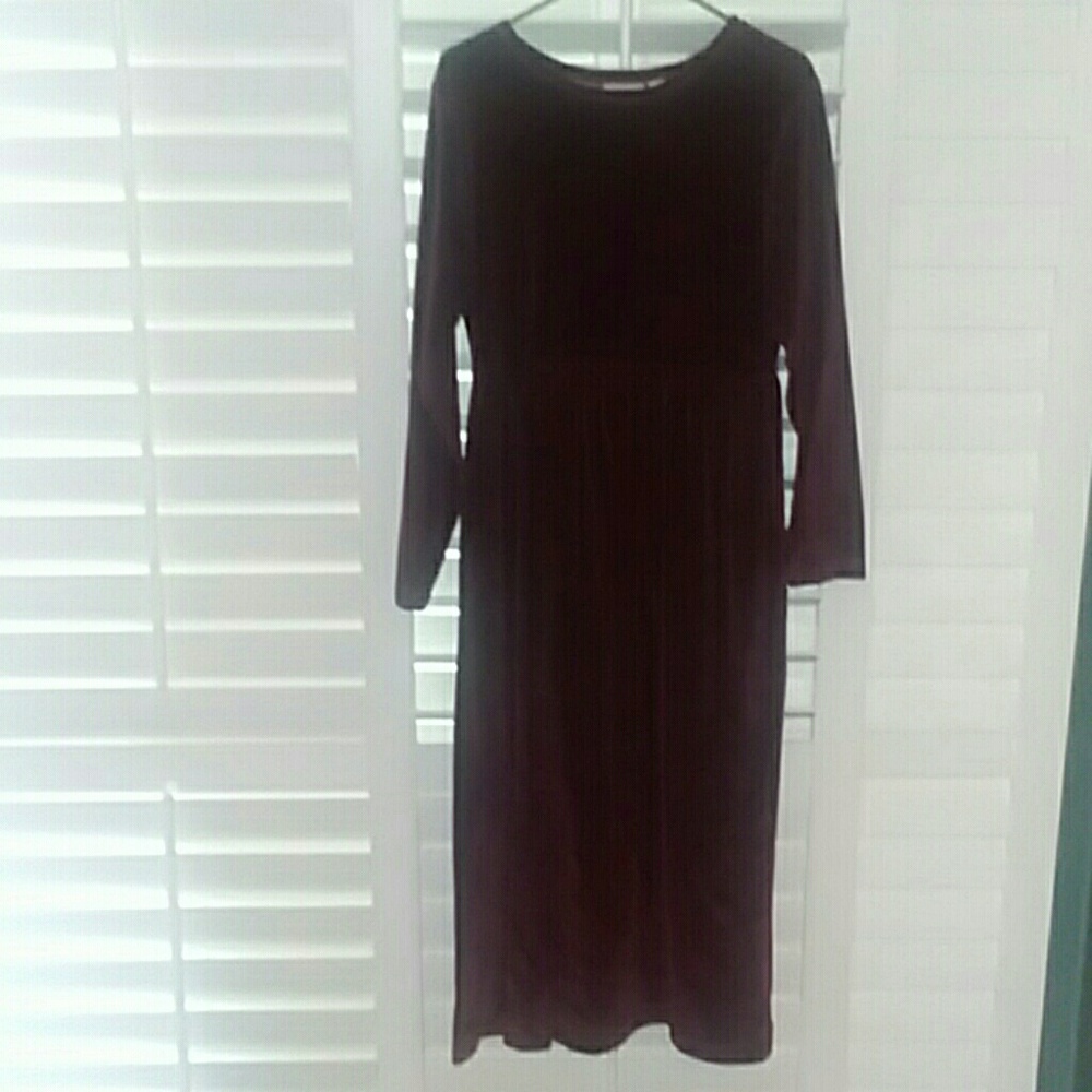 Wine Velvet like dress by Erika & Company